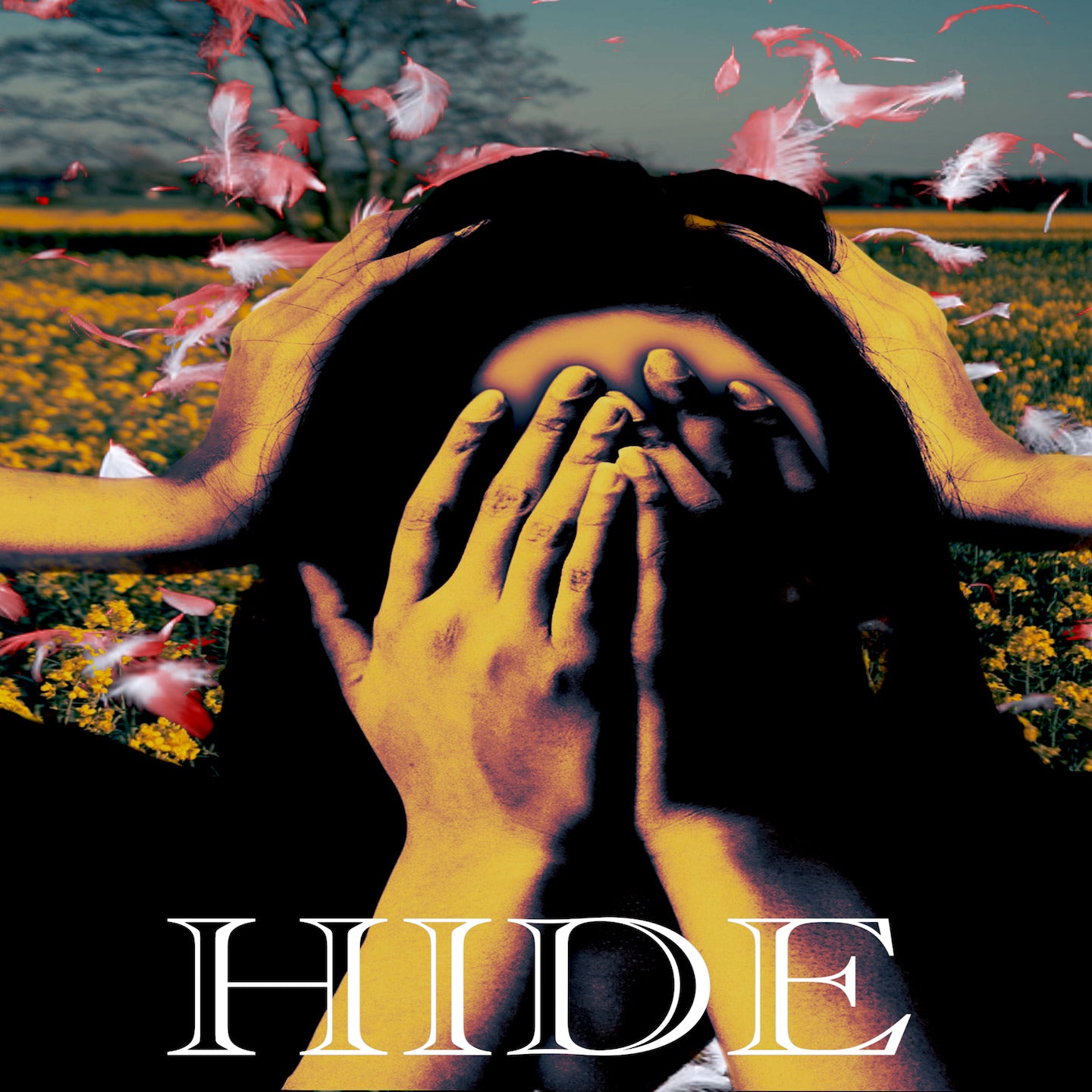 Hide away