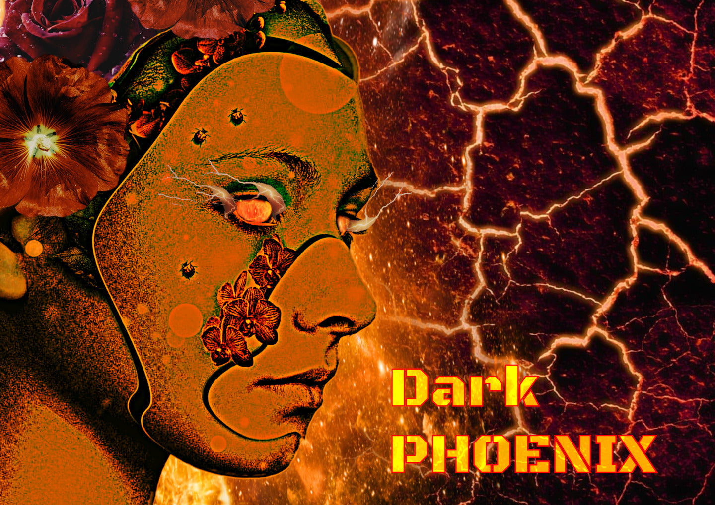 Dark phoneix