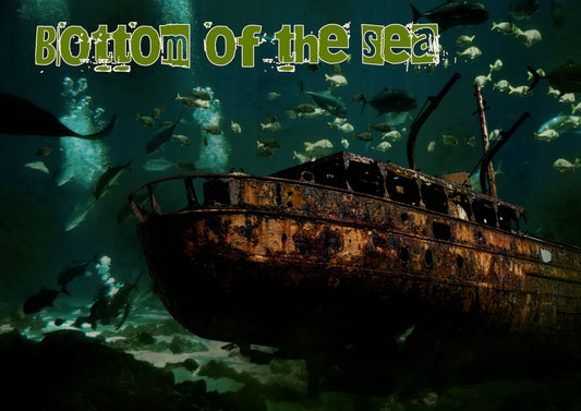 Bottom of the sea