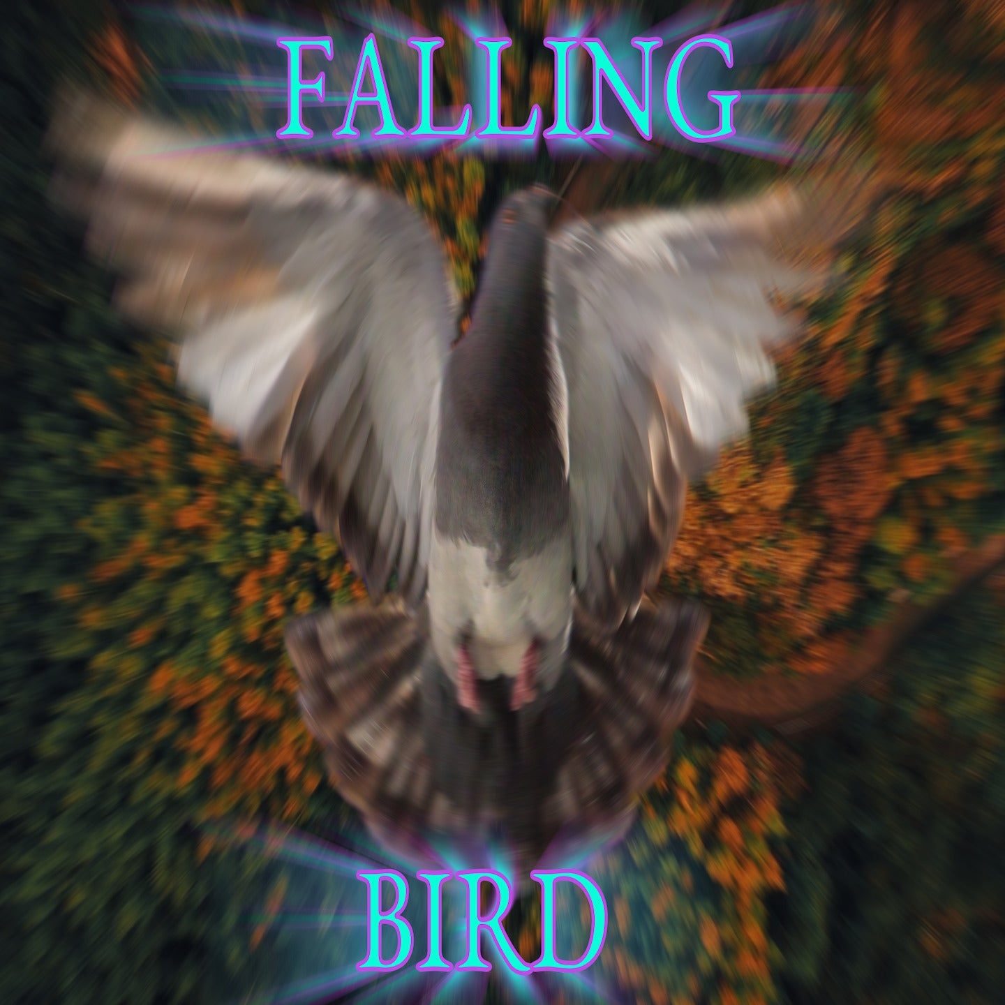 Falling Bird