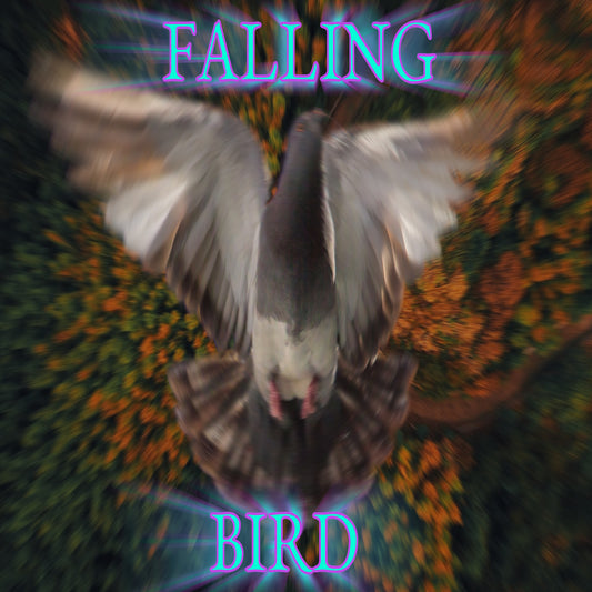 Falling Bird